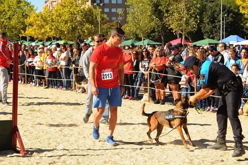 Tu perro puede ser la imagen del Mascocan 2020 de Coslada